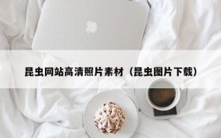 潮州昆虫网站高清照片素材（昆虫图片下载）